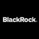 BlackRock Capital Allocation Term Trust stock logo