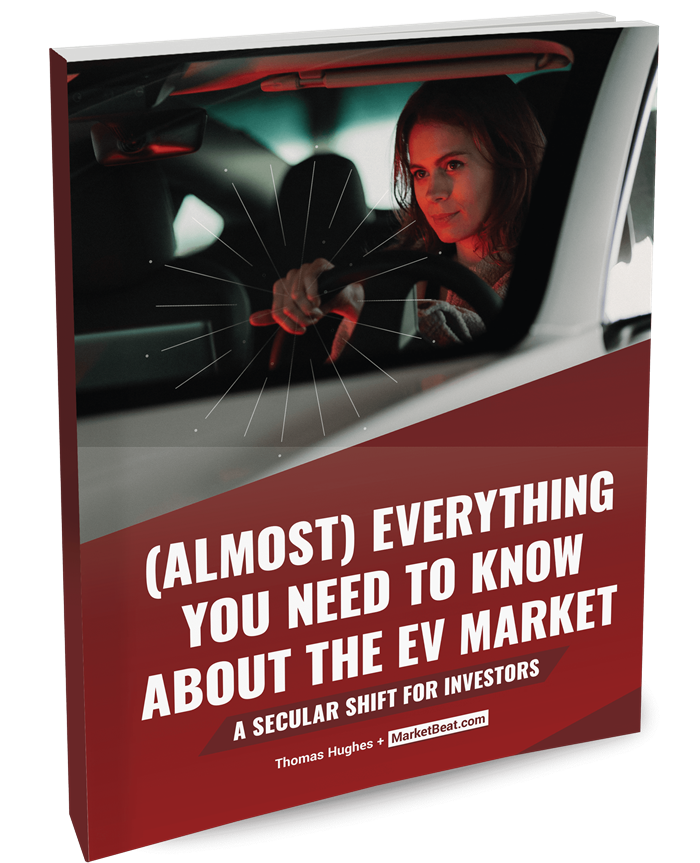 (Almost) Everything You Need To Know About The EV Market