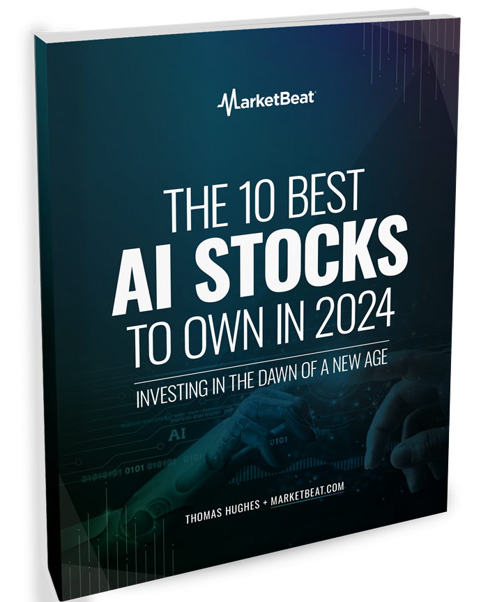 The 10 Best AI Stocks to Own in 2024